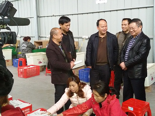 靖州縣委副書記楊秀芳視察漢眾農(nóng)業(yè)