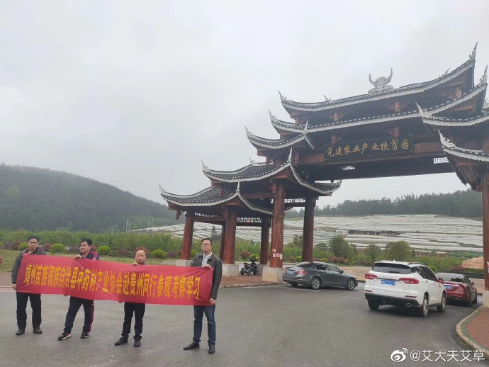 湖南漢眾農(nóng)業(yè)發(fā)展有限公司,懷化天然七角艾草植物種植,懷化艾制品制造銷售