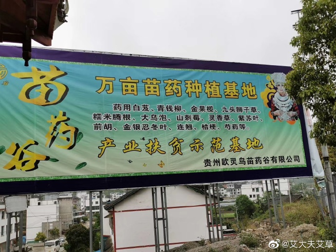 湖南漢眾農(nóng)業(yè)發(fā)展有限公司,懷化天然七角艾草植物種植,懷化艾制品制造銷售