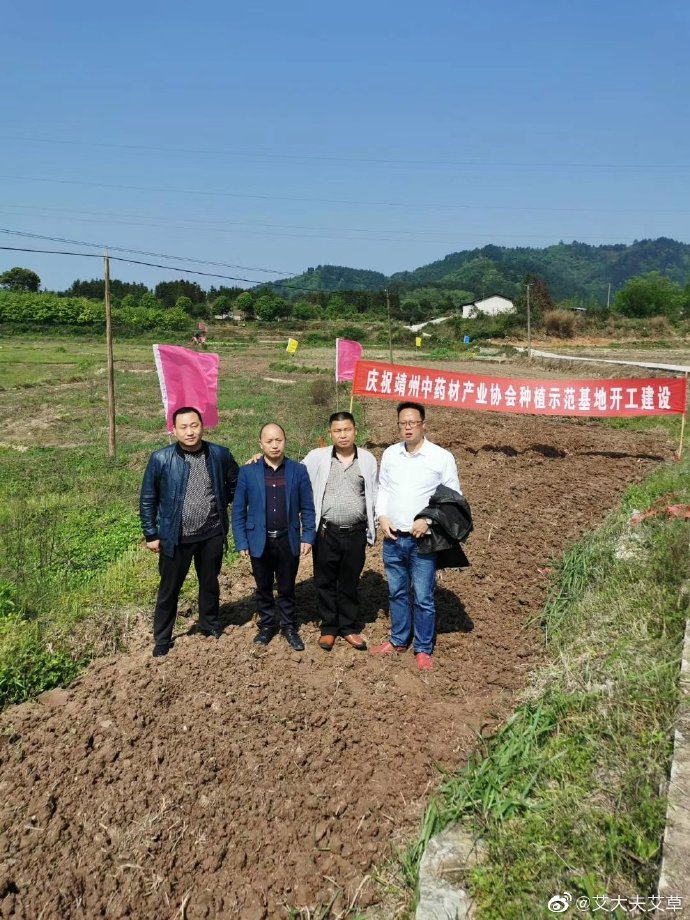 湖南漢眾農(nóng)業(yè)發(fā)展有限公司,懷化天然七角艾草植物種植,懷化艾制品制造銷售 湖南漢眾農(nóng)業(yè)發(fā)展有限公司,懷化天然七角艾草植物種植,懷化艾制品制造銷售