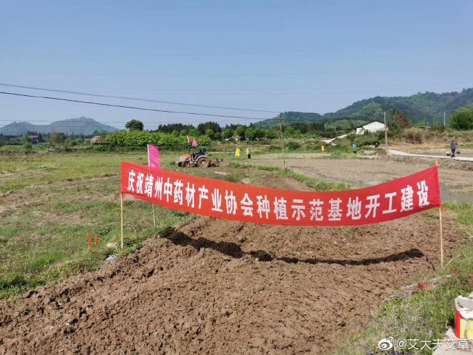 湖南漢眾農(nóng)業(yè)發(fā)展有限公司,懷化天然七角艾草植物種植,懷化艾制品制造銷售 湖南漢眾農(nóng)業(yè)發(fā)展有限公司,懷化天然七角艾草植物種植,懷化艾制品制造銷售